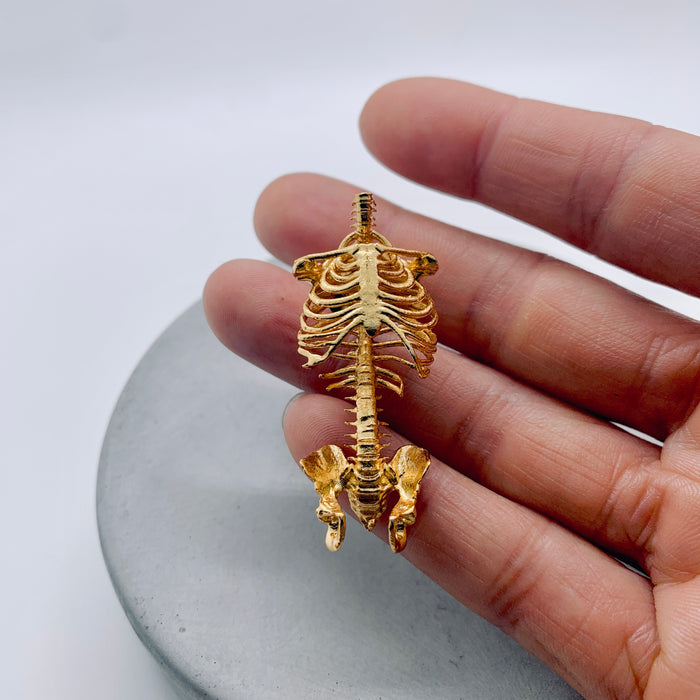 “Got The Spine” Brooch