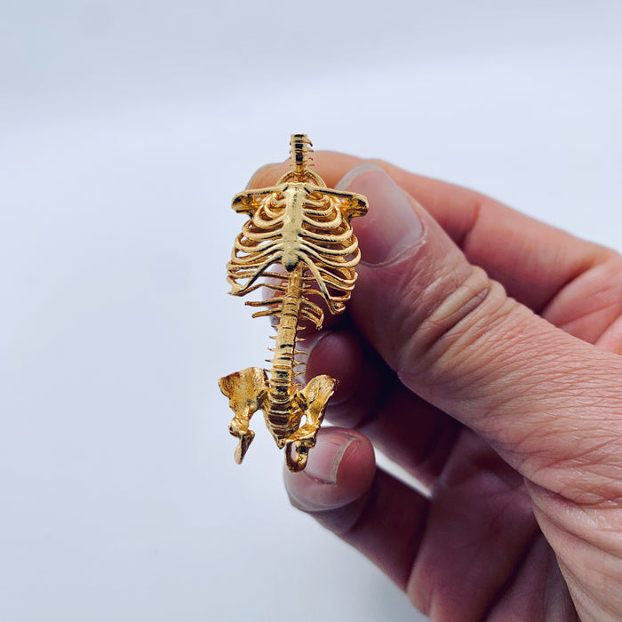 “Got The Spine” Brooch