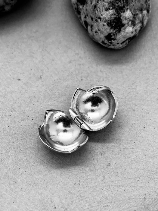 Polished Ball Ear Ring